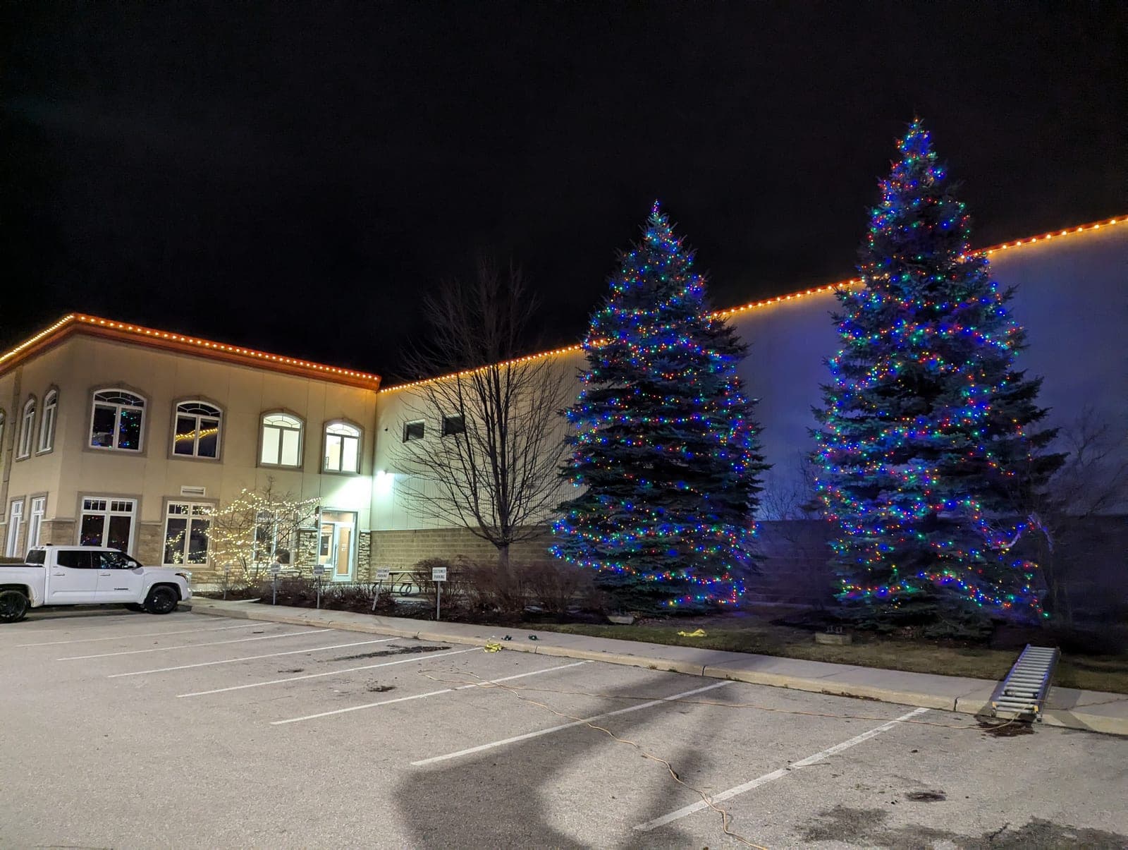 Commercial building with warm-white roofline lights and two large multicolour-lit evergreens in the parking lot