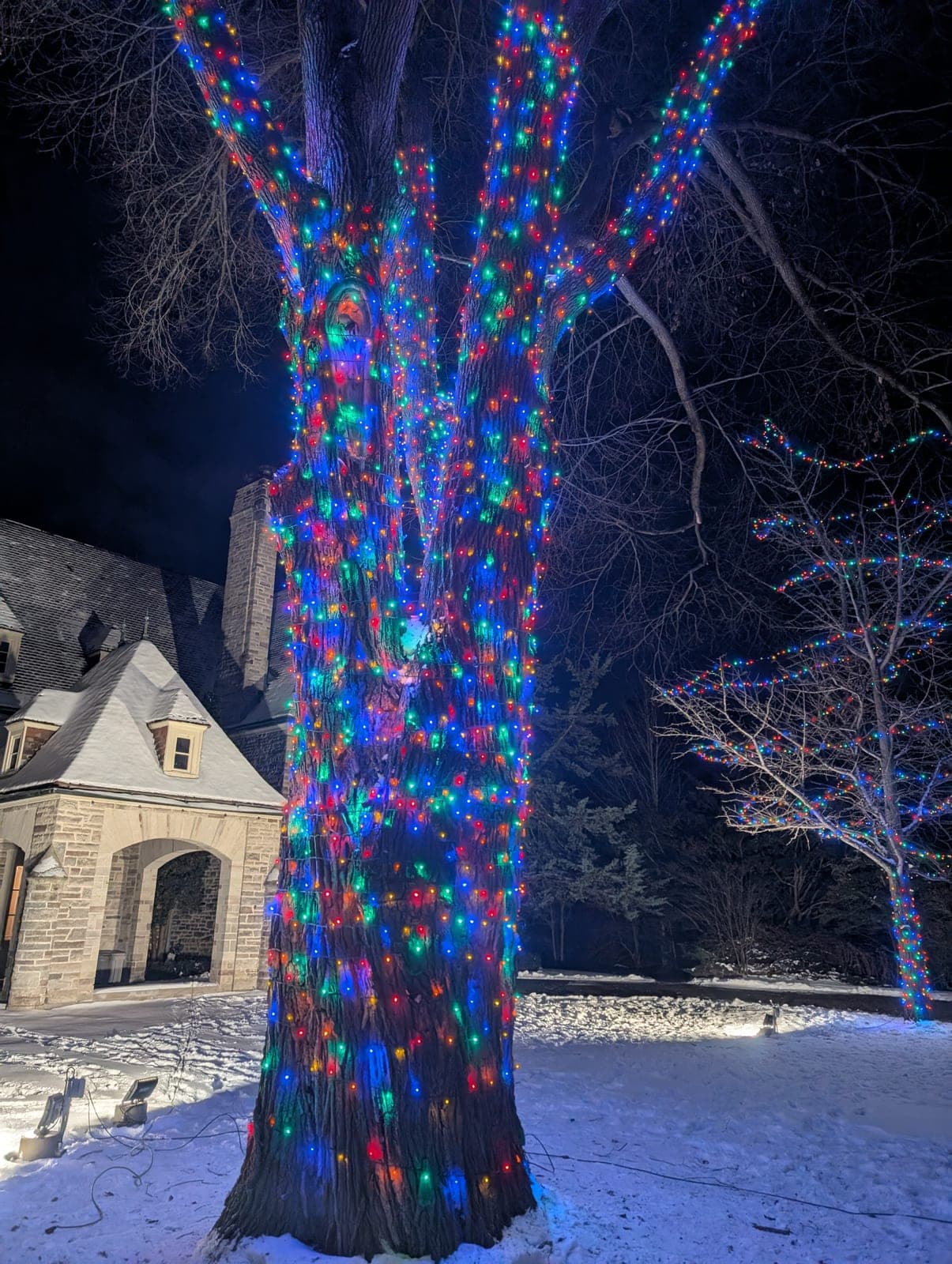 Large tree wrapped in multicolour LED lights outside a stone estate on a snowy winter night