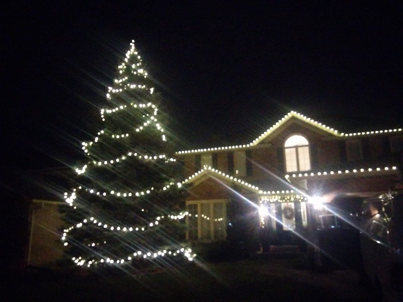 Two-storey home with a tall evergreen wrapped in warm-white lights and matching roofline Christmas lights at night